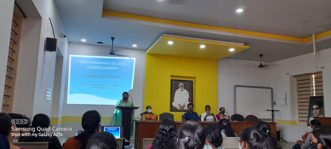 First slide