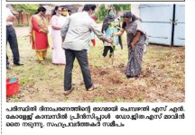 Environment Day 2020